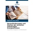 thumbnail image 1 of Herausforderungen und StÃ¤rken der aktuellen industriellen Energieeffizienz, (Paperback), 1 of 1