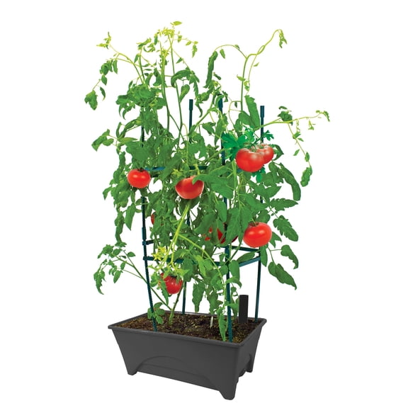 Expert Gardener Garden Bed with Self-Watering Reservoir, Ideal for Patios and Indoor Spaces