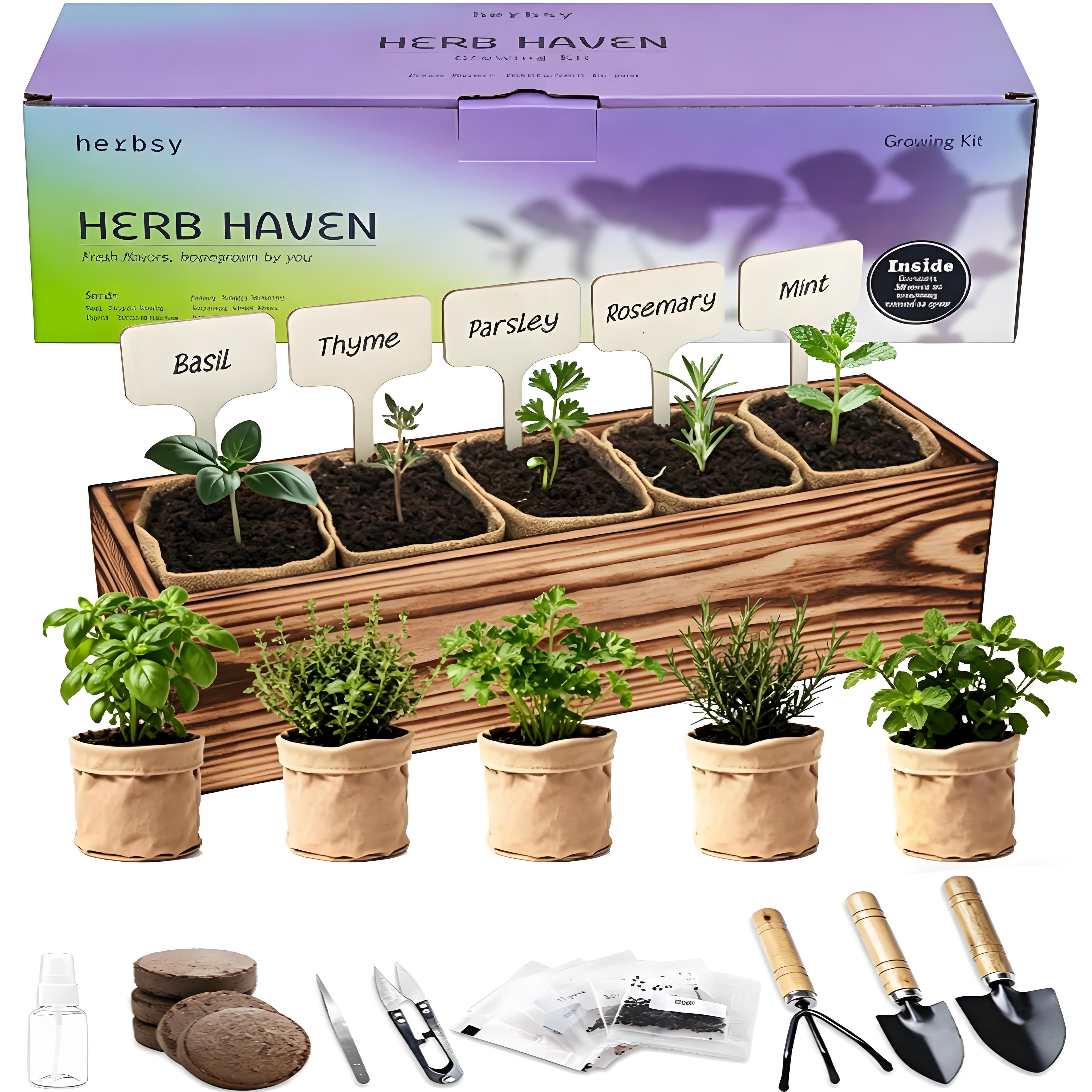 Herb Garden Kit with Wooden Box – Includes Basil, Thyme, Parsley, Rosemary & Mint – Windowsill Herb Garden for Kitchen – Gardening Gift for Mom, Women, Men