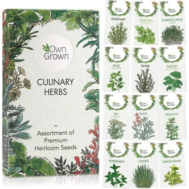 Herb Garden Seeds: > 8,000 Premium Herb Seeds, Variety Pack (12x) for Planting - Herb Set