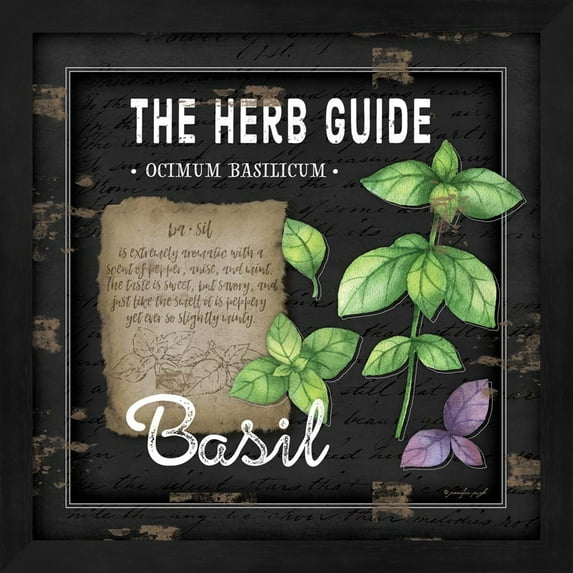 Herb Guide Basil by Jennifer Pugh, Framed Wall Art, 13.25W x 13.25H