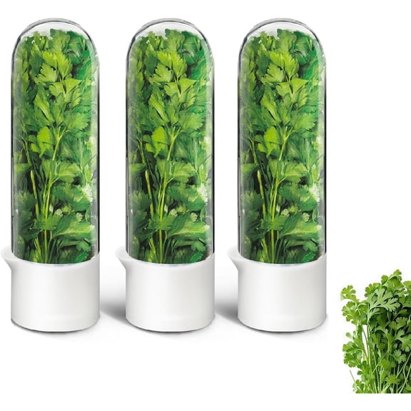 Herb Keeper for Refrigerator, Herb Saver for Refrigerator, Cilantro Container, Vegetable Preservation Bottle for Cilantro, Mint, Parsley, Asparagus, Keeps Greens Fresh for 2-3 Weeks