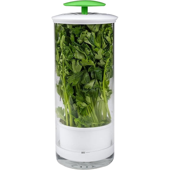 Herb Keeper and Herb Saver Glass Storage Container for Cilantro, Mint, Parsley, Asparagus, Keeps Greens Fresh for 2-3 Weeks