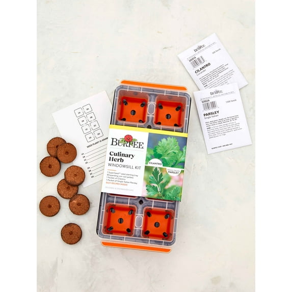 Herb Kit, Culinary Herb Windowsill