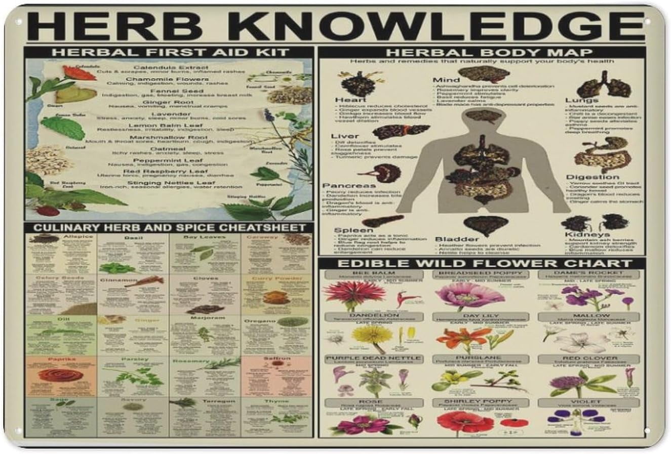 Herb Knowledge Metal Tin Signs Herbal First Aid Kit Infographic Poster
