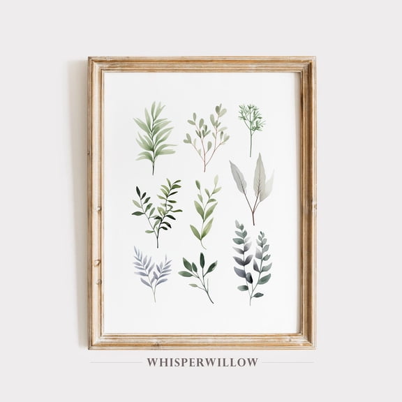Herb Leaves, Minimal Botanical Greenery, Greenery Illustration Wall Art, Nature Leaves Poster Decor, Size 12x18 UNFFRAMED F03.1.8l1889