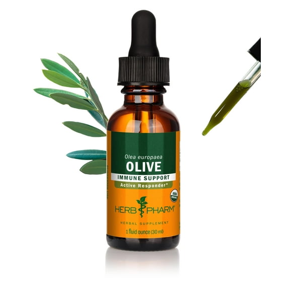 Herb Pharm Certified Organic Olive Leaf Liquid Extract for Immune System Support - 1 Ounce