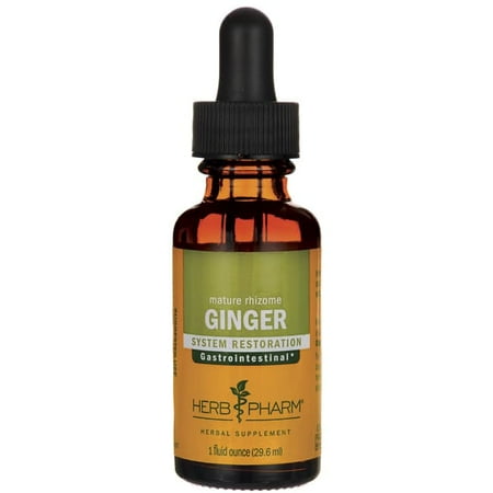 Herb Pharm Ginger Liquid Herbal Extract - 1 fl oz