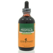 Herb Pharm - Propolis 4 oz