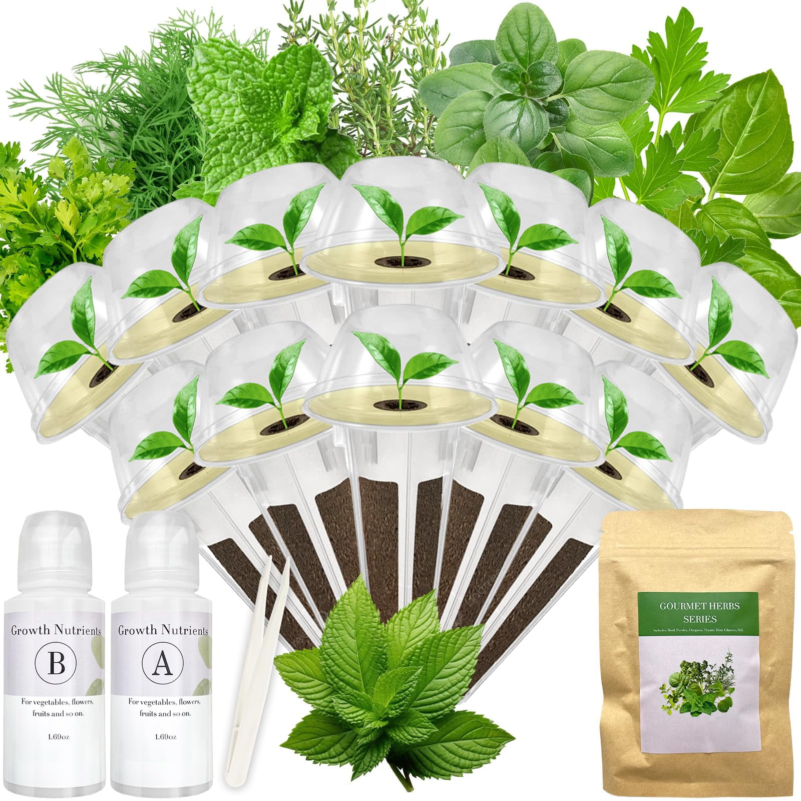 Herb Plant Growing Kit 12-pods for Hydroponic Systems