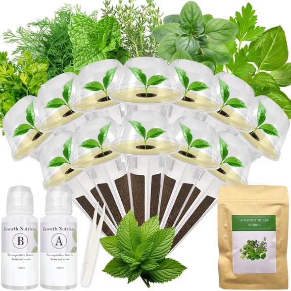 Herb Plant Growing Kit 12-pods for Hydroponic Systems