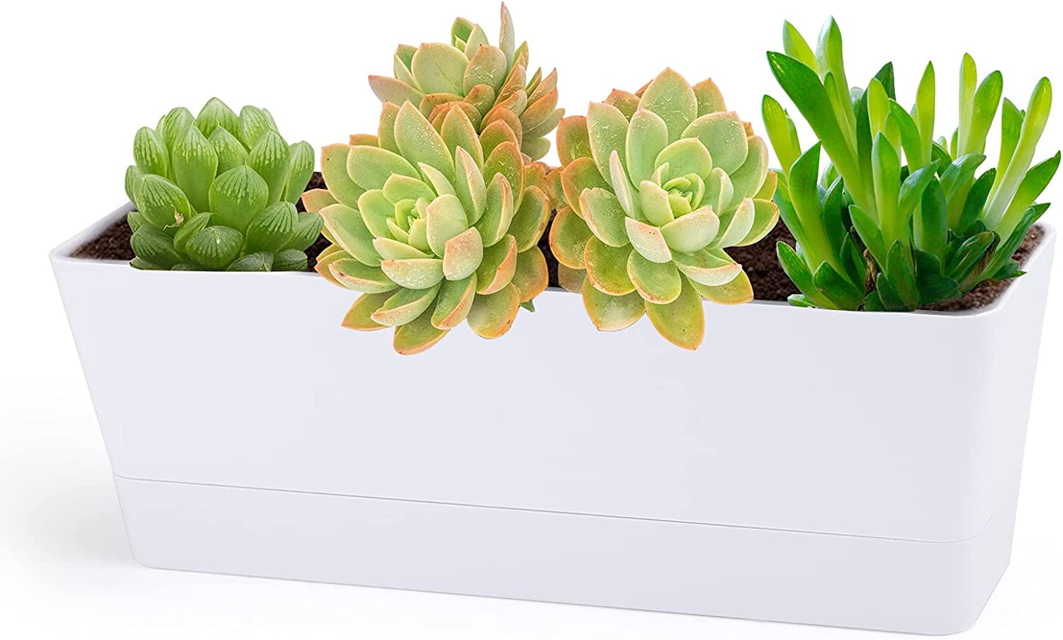 Herb Planter with Tray, 1 Pack 12x3.8 Inch Rectangle Window Box, Indoor Succulent Flowers Succulent Plastic Pot for Windowsill, Garden, Balcony, Office Outdoor Decoration - White