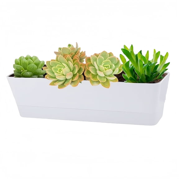 Herb Planters, GIXUSIL 1 Pack Rectangle Window Boxes with Tray, 12x3.8in Indoor Succulent Cactus Plastic Pot for Windowsill, Balcony, Office, Outdoor Garden - White