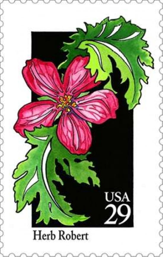 Herb Robert Canvas Art - US POSTAL SERVICE (12 x 18)