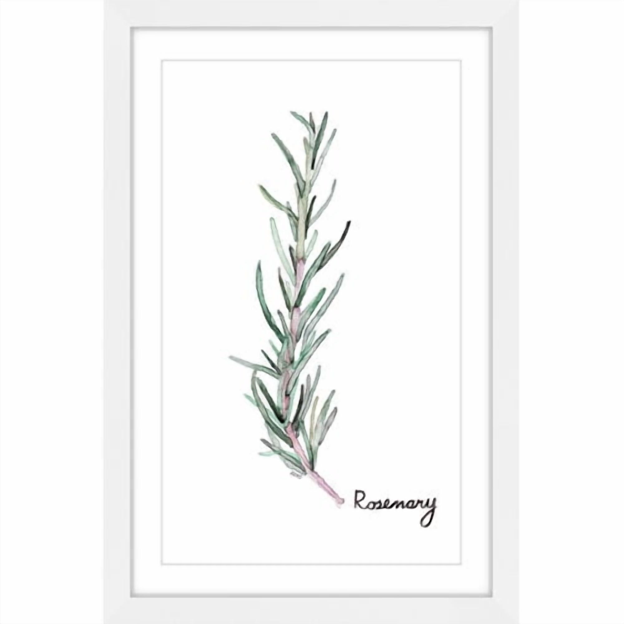 "Herb Rosemary" by Rachel Byler Framed Painting Print