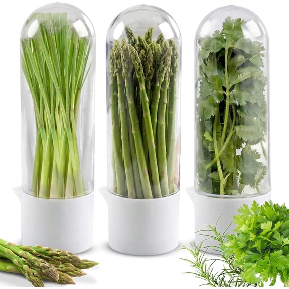 Herb Saver for Refrigerator, 3Pack Herb Keeper & Cilantro Container for Fridge, Fresh Herbs Lettuce Keeper Preservation Storage Container for Cilantro, Parsley, Asparagus, Extends 2-3 Weeks