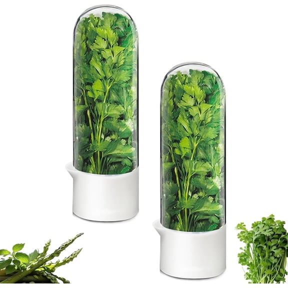 Herb Saver for Refrigerator - Herb Keeper & Cilantro Container for Fridge | Vegetable Preservation Storage Container for Cilantro, Basil, Asparagus | Extends Freshness Up to 2-3 Weeks