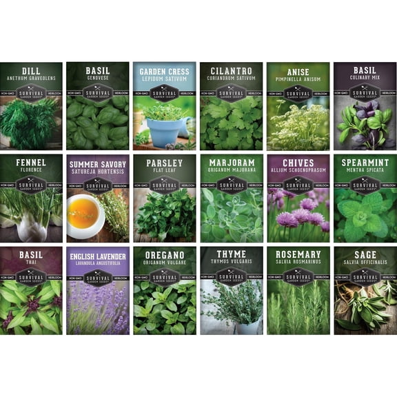 Culinary Kitchen Herb Seeds 18 Variety Pack - Perennial Full Sun Herbs