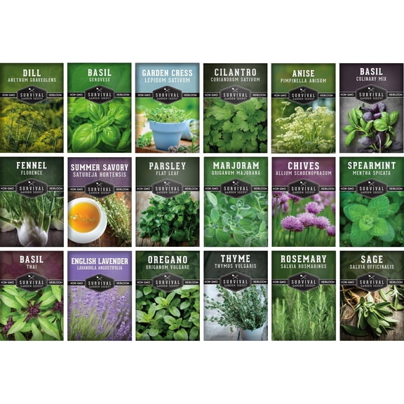 Culinary Kitchen Herb Seeds 18 Pack - Full Sun, Perennial