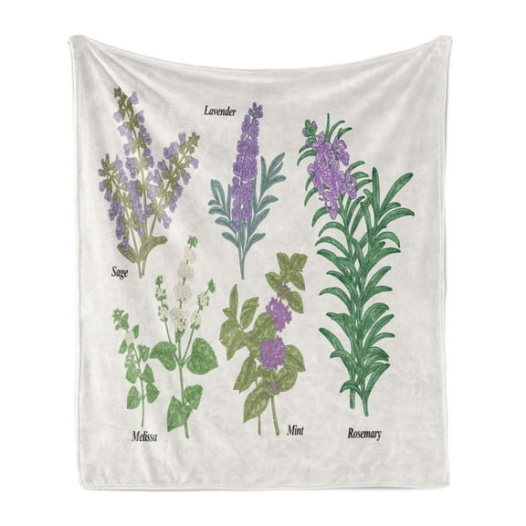 Herb Soft Flannel Fleece Blanket, Botanical Infographic with Sage Melissa Lavender Mint and Rosemary Plants, Cozy Plush for Indoor and Outdoor Use, 60" x 80", Coconut and Multicolor, by Ambesonne