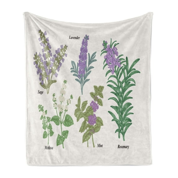 Herb Soft Flannel Fleece Blanket, Botanical Infographic with Sage Melissa Lavender Mint and Rosemary Plants, Cozy Plush for Indoor and Outdoor Use, 60" x 80", Coconut and Multicolor, by Ambesonne