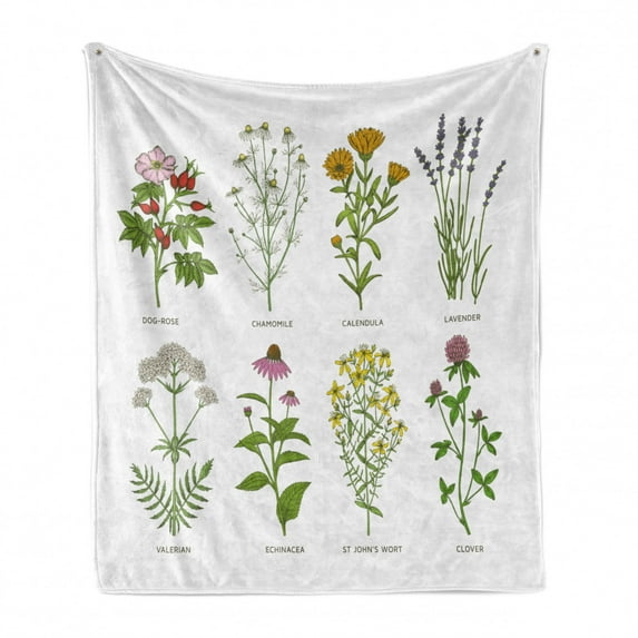 Herb Soft Flannel Fleece Throw Blanket, Natural Cosmetics Flowers with Names Dog-rose Chamomile Calendula Lavender, Cozy Plush for Indoor and Outdoor Use, 70" x 90", Multicolor, by Ambesonne