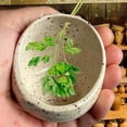 thumbnail image 1 of Herb Stripper Bowl - Handmade Ceramic Herb Stripper with 4 Hole Sizes for Cilantro, Rosemary - Kitchen Herb Leaf Remover Tool for Cooking, Salad, Smoothie Prep, 1 of 5