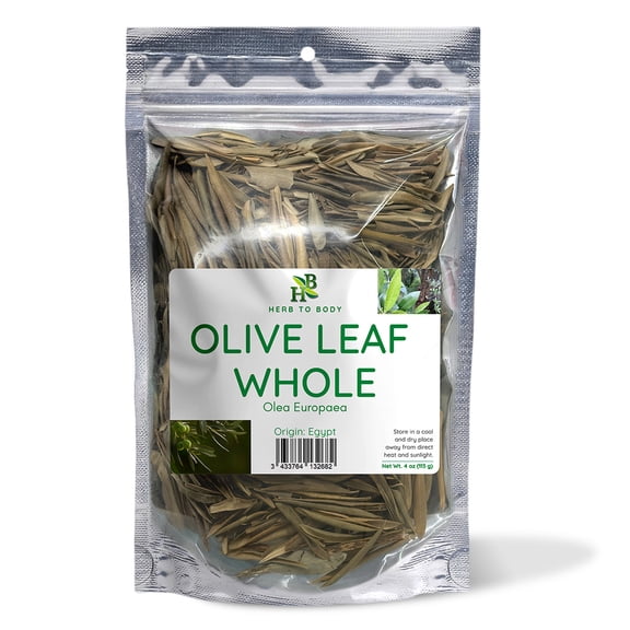 Herb To Body Olive Leaf Whole - Olea Europaea, Olive Leaves for Herbal Tea, Botanical Blends and Traditional Preparations, Wildcrafted 4oz