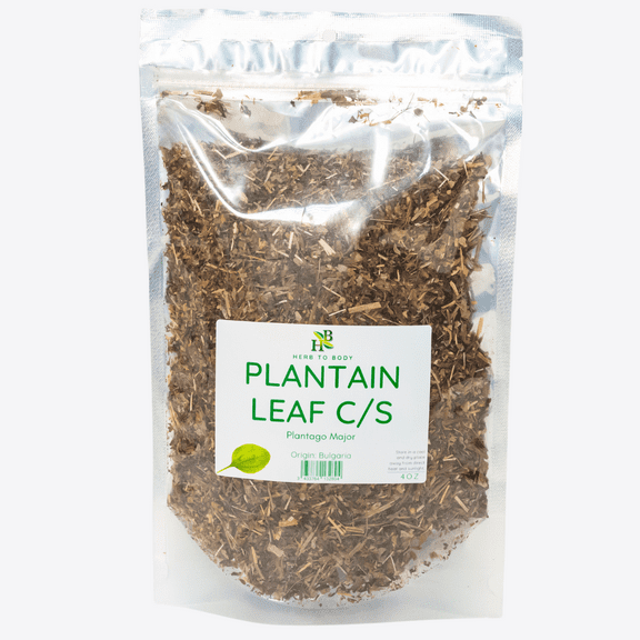 Herb To Body Plantain Leaf C/S | Cut & Sifted | Plantago Major | Wildcrafted | 4oz