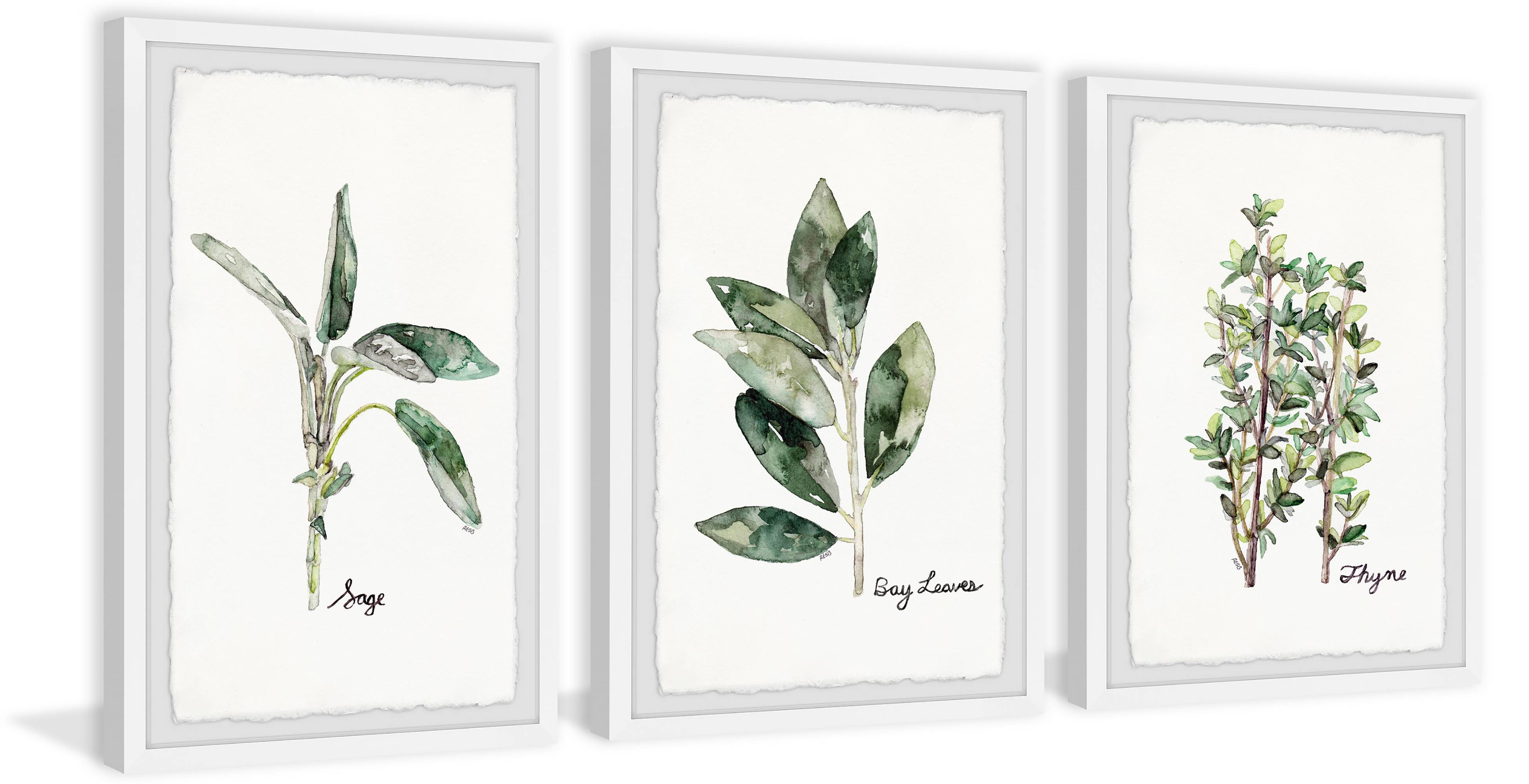 Herb Trio Triptych