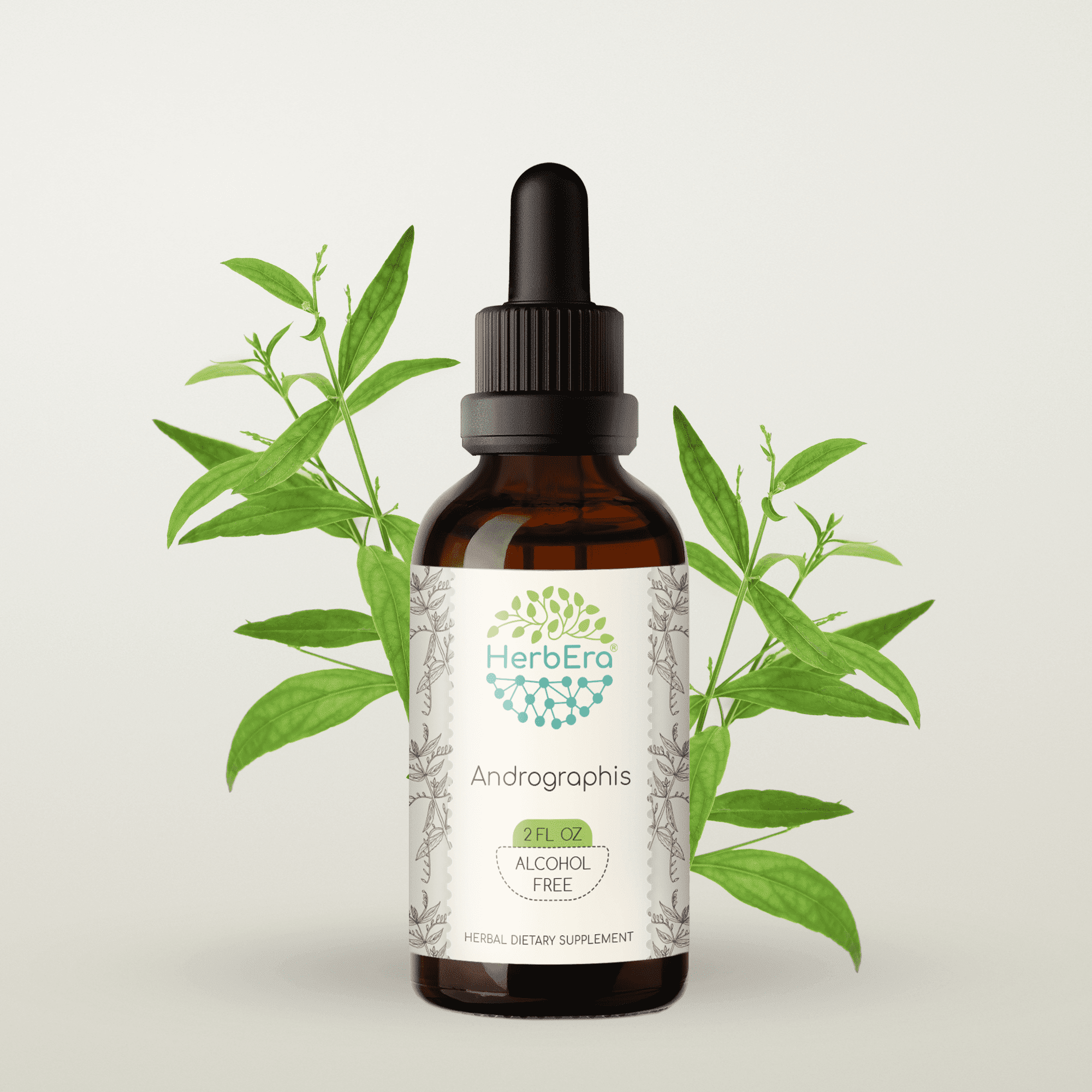 HerbEra Andrographis Tincture, Herbal Dietary Supplement for Immune and ...