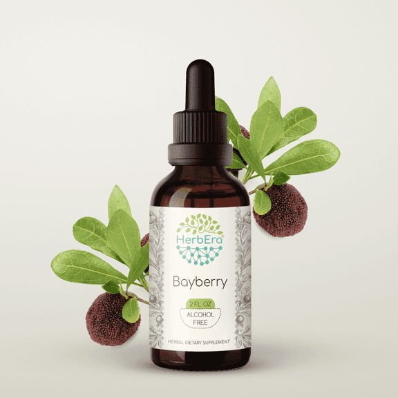HerbEra Andrographis Tincture, Herbal Dietary Supplement for Immune and ...
