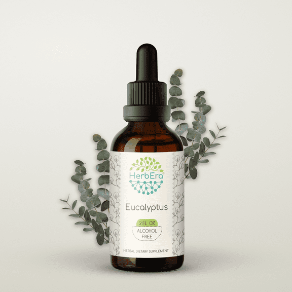 HerbEra Eucalyptus Tincture, Herbal Dietary Supplement for Respiratory Support, Eucalyptus (Eucalyptus globulus) Dried Leaf Extract, Natural, Alcohol-Free, Drops 2 oz