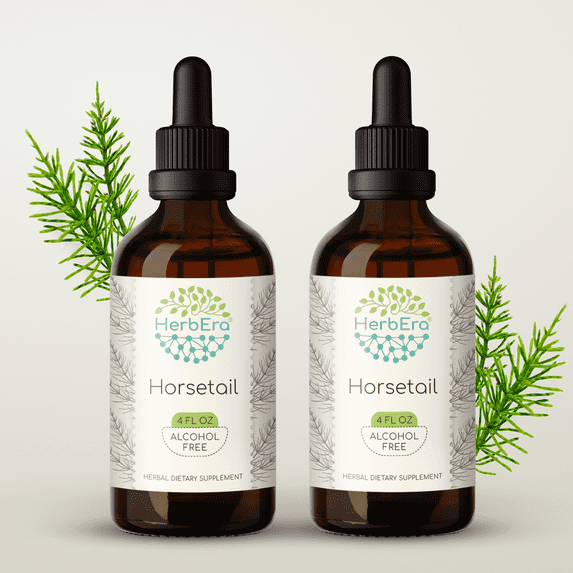 HerbEra Horsetail Tincture, Herbal Dietary Supplement for Urinary Tract Support, Horsetail (Equisetum arvense) Dried Herb Extract, Natural, Alcohol-Free, Drops 2x4 oz