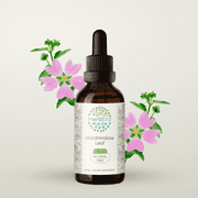 HerbEra Marshmallow Leaf Tincture, Herbal Dietary Supplement for Digestive Support, Marshmallow Althaea officinalis Dried Leaf Extract, Natural, Alcohol-Free, Drops 2 oz