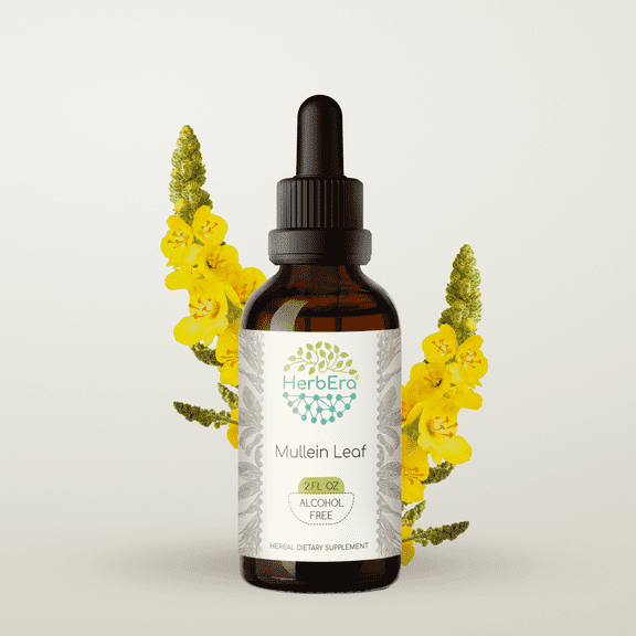 HerbEra Andrographis Tincture, Herbal Dietary Supplement for Immune and ...