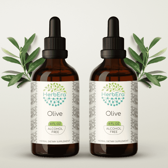 HerbEra Olive Tincture, Herbal Dietary Supplement for Heart Health Support, Olive (Olea europaea) Dried Leaf Extract, Natural, Alcohol-Free, Drops 2x4 oz