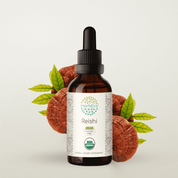 HerbEra Reishi Tincture, Organic Herbal Dietary Supplement for Immune System Support, Certified Organic Reishi Mushroom (Ganoderma lucidum) Dried Mushroom Extract, Natural, Alcohol-Free, Drops 2 oz