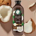 thumbnail image 1 of Herbal Essences Bio:Renew Hydrate Conditioner, Coconut Milk 13.5 oz (Pack of 3), 1 of 6
