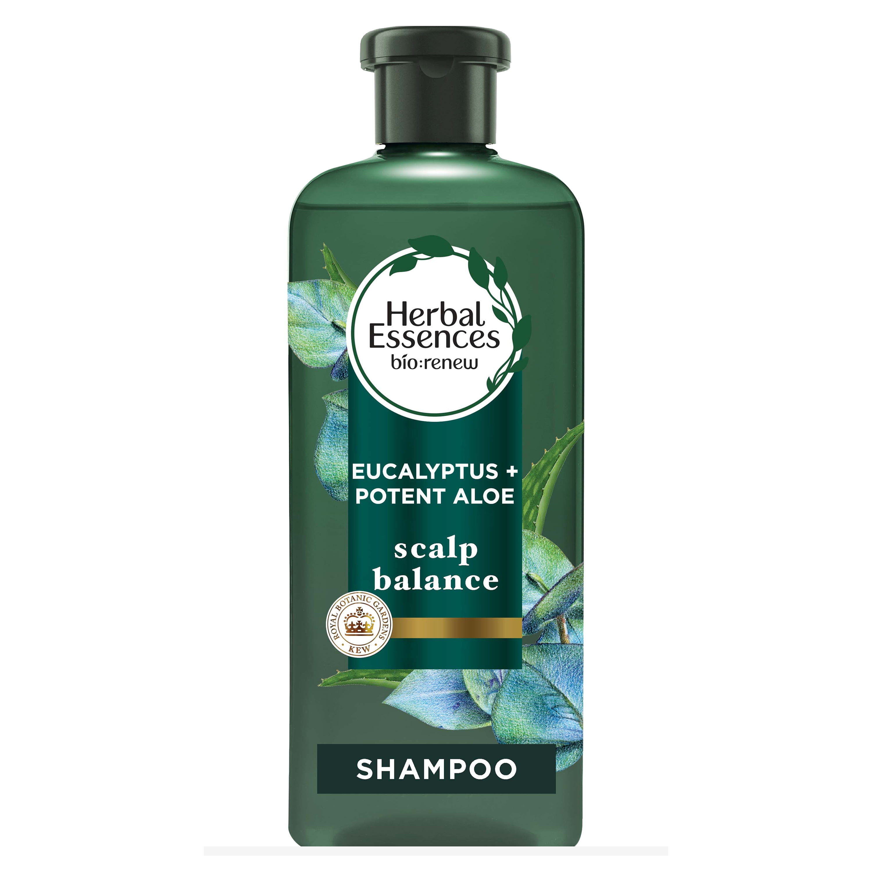 Herbal Essences Bio Renew Aloe + Eucalyptus Shampoo, All Hair Types
