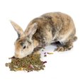 thumbnail image 1 of Herbal Rabbit Food, 1 of 5