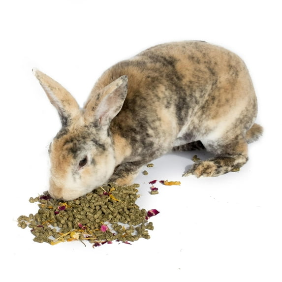 Herbal Rabbit Food