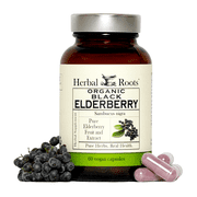 Herbal Roots Organic Black Elderberry Capsules - Max Strength - USDA Certified Organic - Immune Support - 60 Vegan Capsules