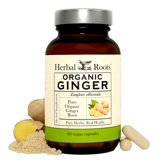 Herbal Roots Organic Ginger Root Capsules 1200mg for Digestive & Immune Support