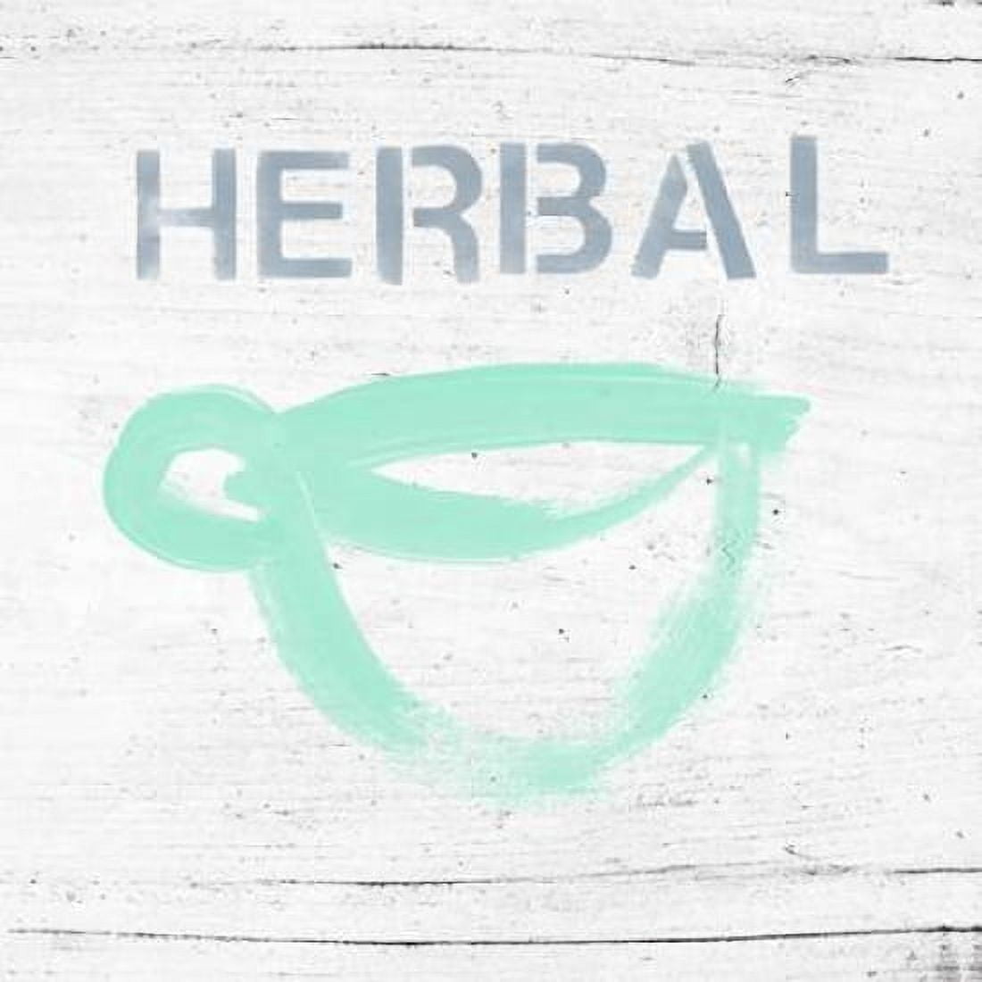 Herbal Tea Canvas Art - Linda Woods (24 x 24)