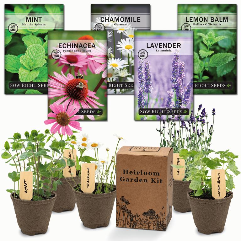 Herbal Tea Garden Kit - 5 Seed Packets with Instructions, Pots, Potting  Soil, Plant Markers