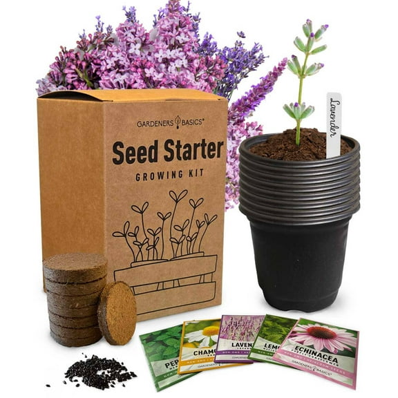 Herbal Tea Seed Starter Kit