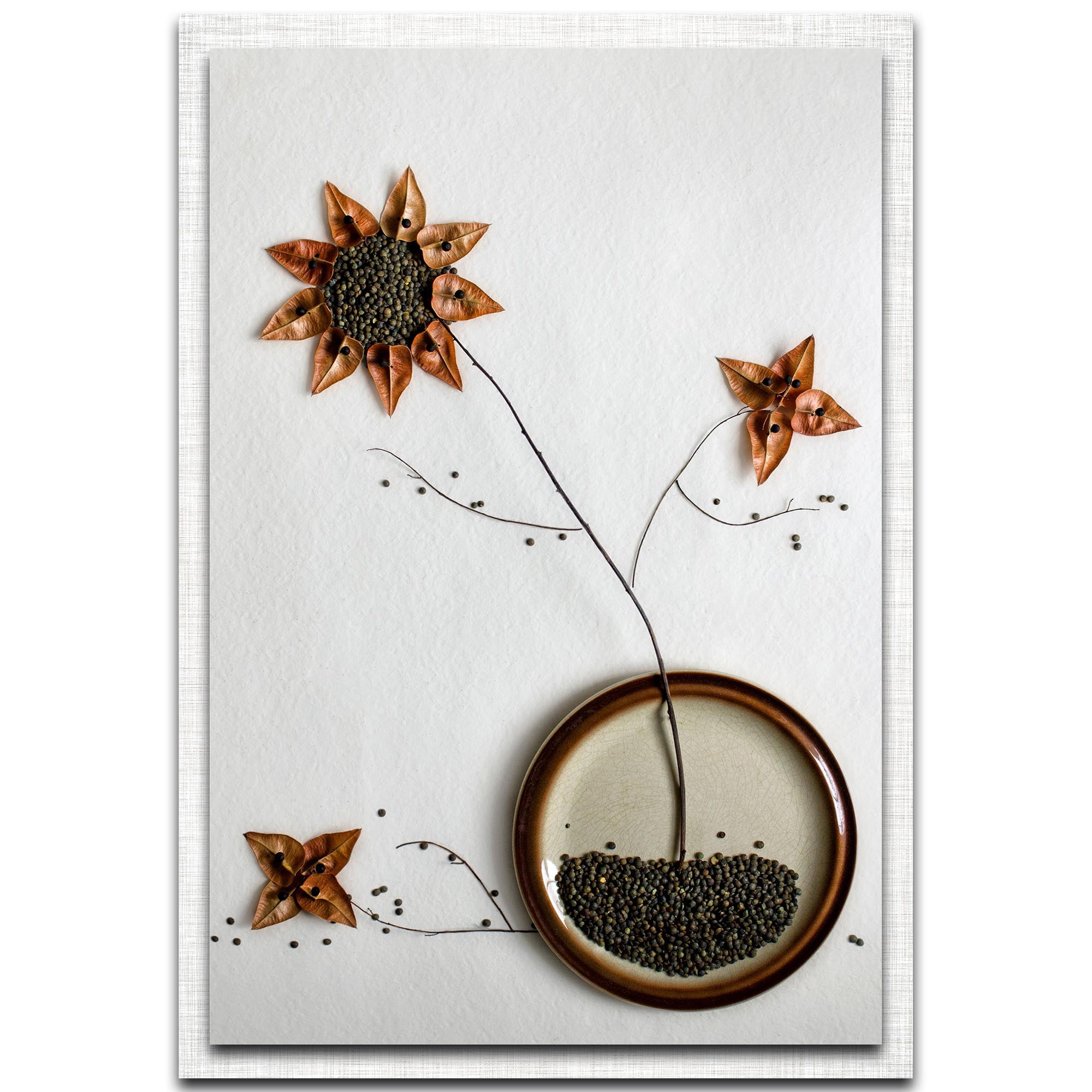 Herbarium Parchment Frame