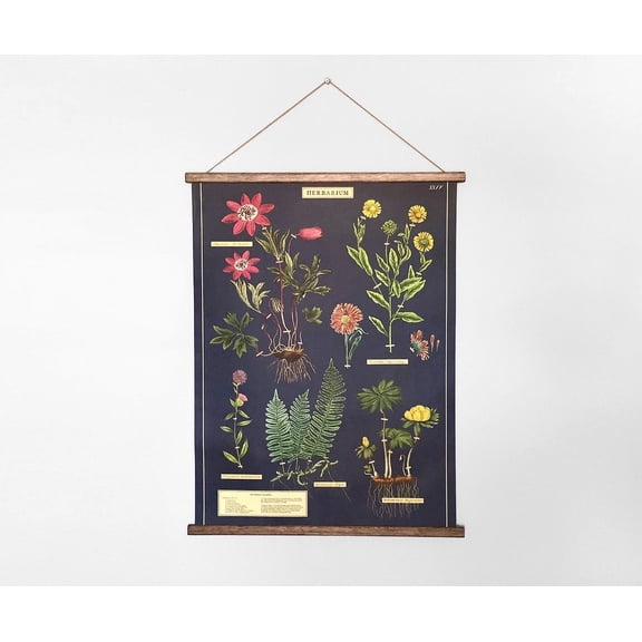 Herbarium Vintage Botanical School Chart, Unframed Paper Poster 8x10in