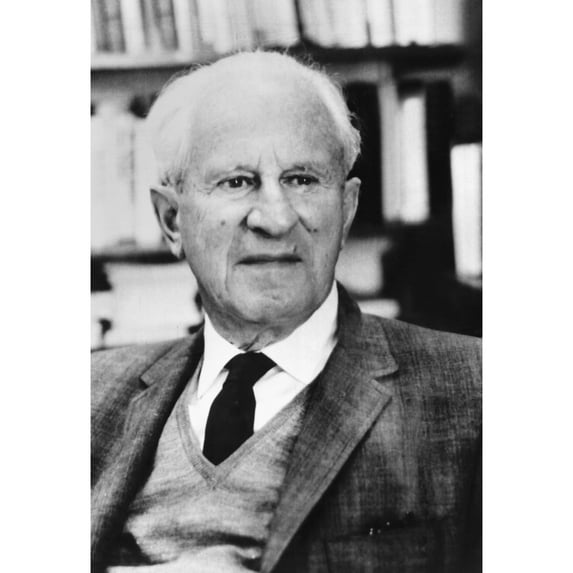 Herbert Marcuse History (18 x 24)